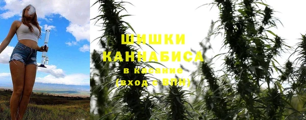 гидра Алзамай