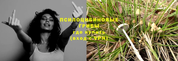 гидра Алзамай