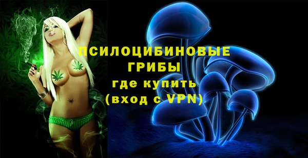гидра Алзамай