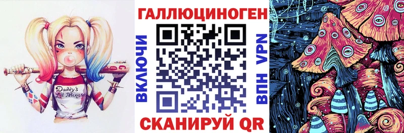 Псилоцибиновые грибы Psilocybine cubensis Карачаевск